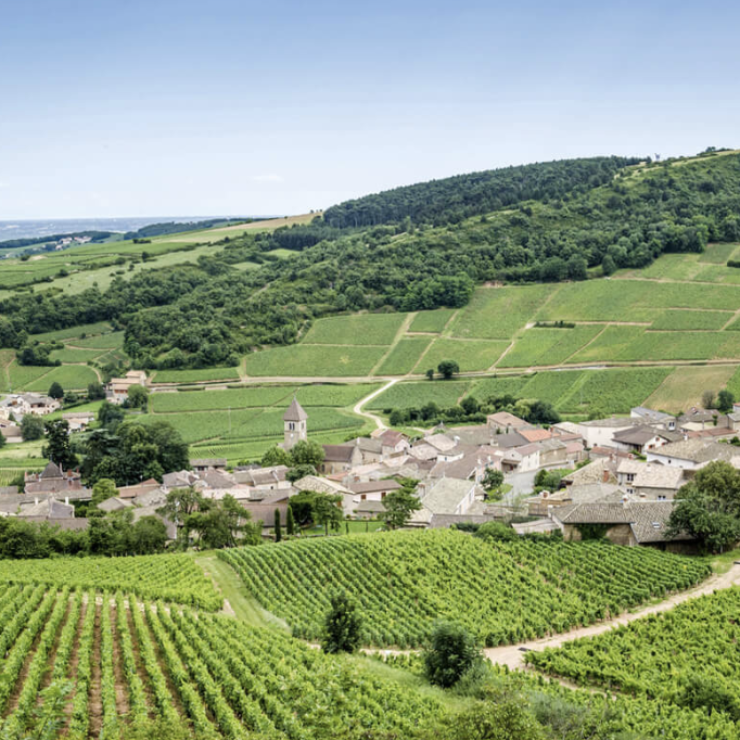 La Route Des Vins