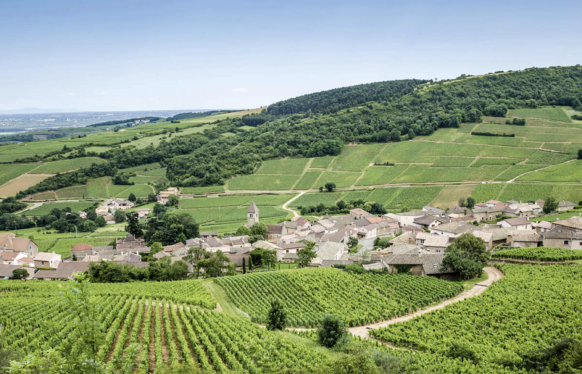 La Route Des Vins