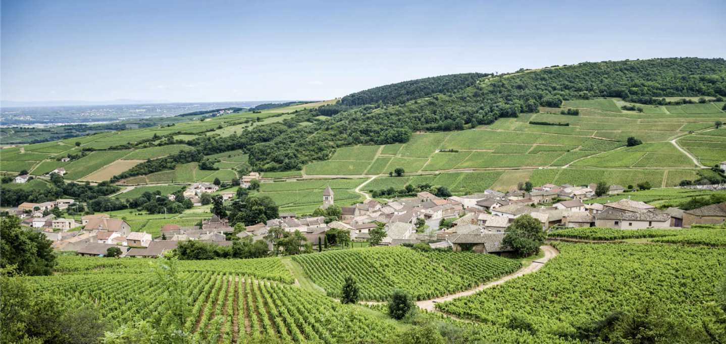 La Route Des Vins