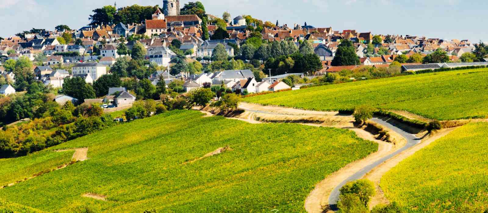 route-des-vins-du-centre-val-de-loire-compressed